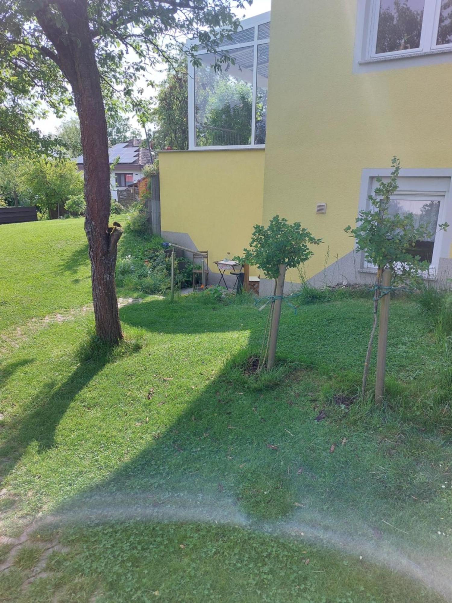 Апартаменты Gelbes Haus Heldritt Бад-Родах Экстерьер фото